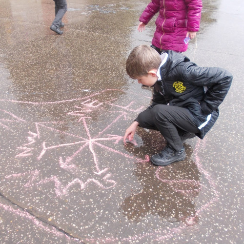Robins and compasses (1)