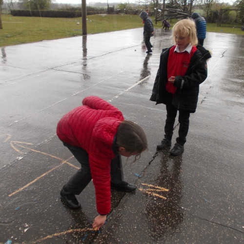 Robins and compasses (4)