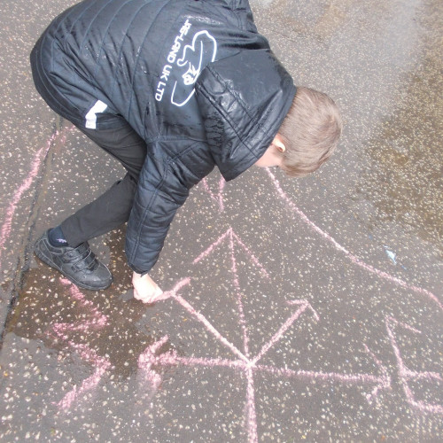 Robins and compasses (5)