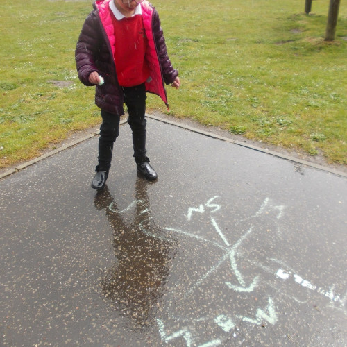 Robins and compasses (6)