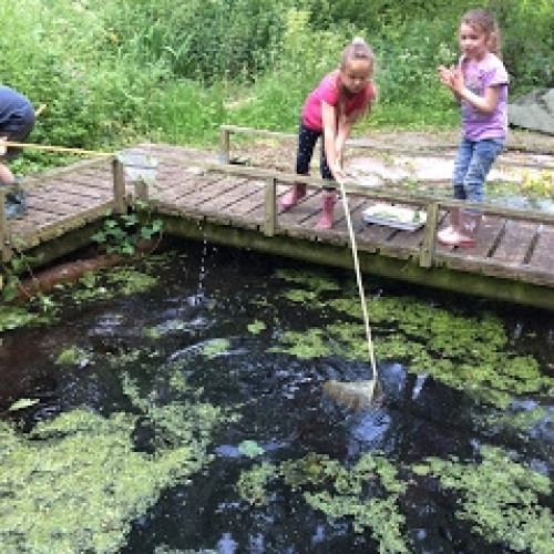 School Pond (2)