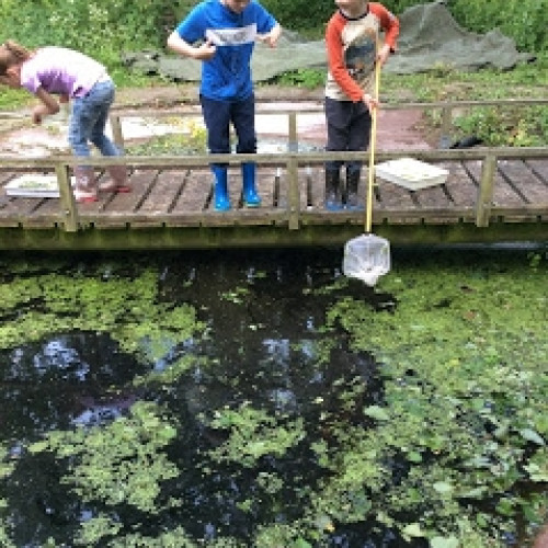 School Pond (3)