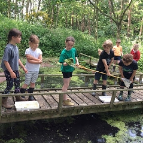 School Pond (5)