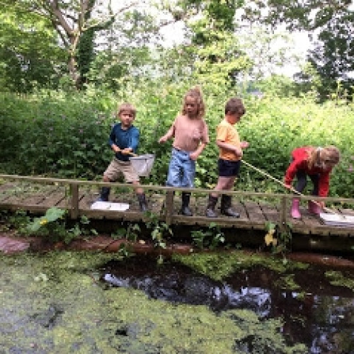 School Pond (6)