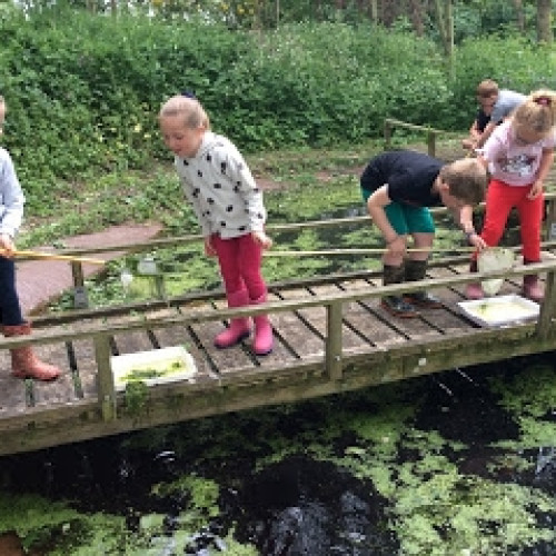 School Pond (7)