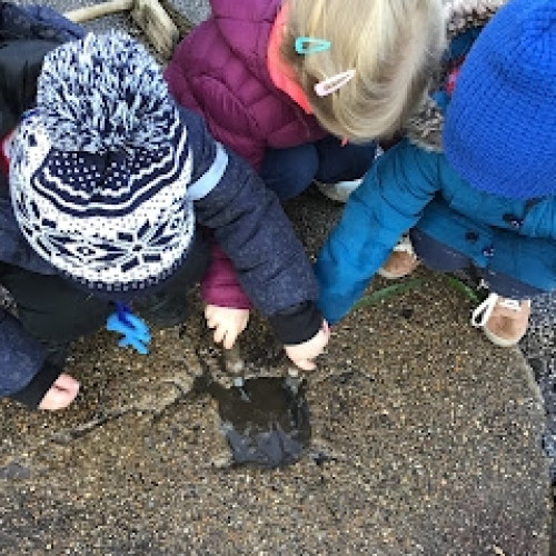 Ice explorations with Owls. (4)