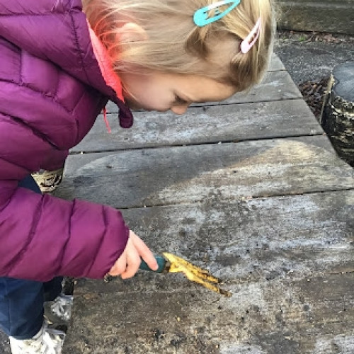 Ice explorations with Owls. (7)